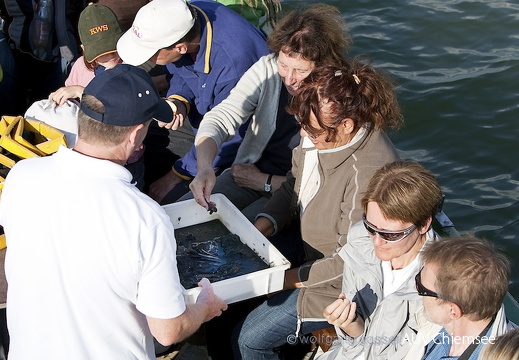 Foto von der Bootstour