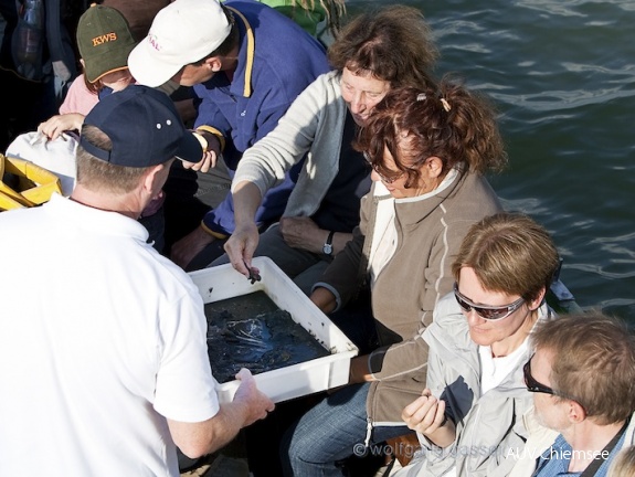 Foto von der Bootstour