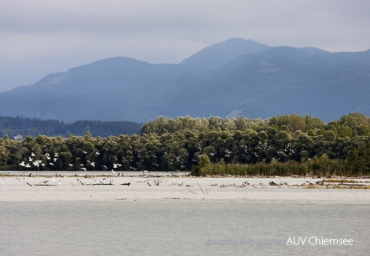 Foto von der Bootstour