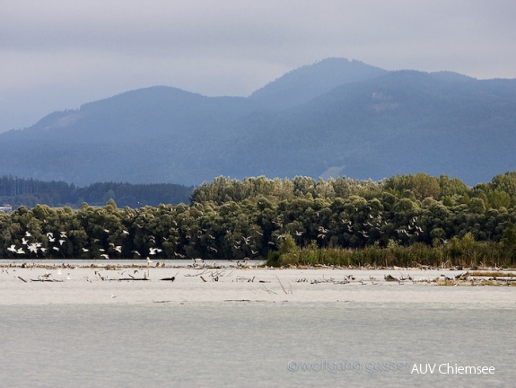Foto von der Bootstour