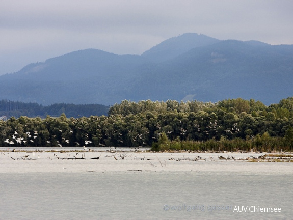 Foto von der Bootstour