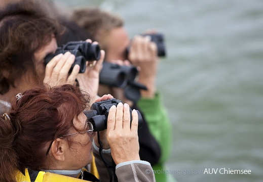 Foto von der Bootstour