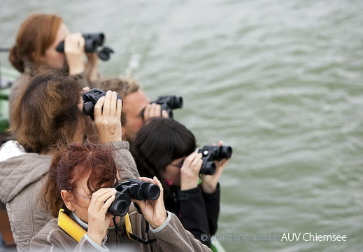 Foto von der Bootstour