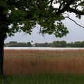 Blick auf Frauenchiemsee