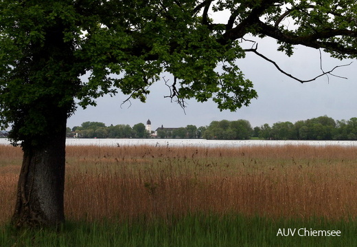 Blick auf Frauenchiemsee