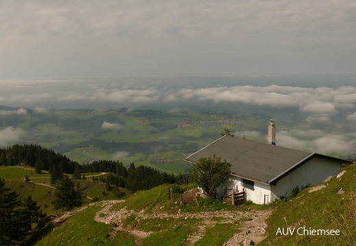 Blick ins Tal  ...
