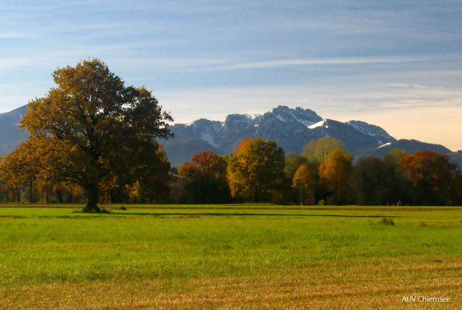 Blick auf Kampenwand