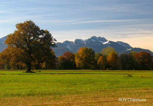 Blick auf Kampenwand