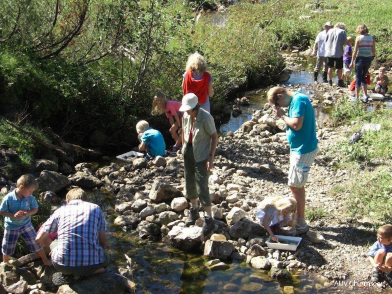 <br />
Tour im Rahmen des 3. 'Chiemgauer Almumtriebes' auf der Winklmoos-Alm bei Reit im Winkl am 9. September 2012<br />
Foto: Stefan Schorreels, Chiemsee-Naturführer dnads-GewLup-120909-Schorreels-021.jpg
