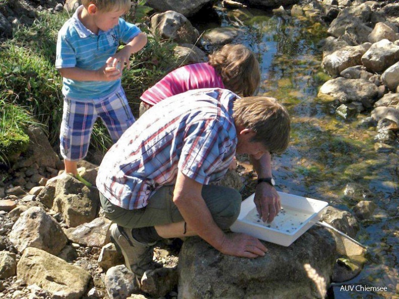 <br />
Tour im Rahmen des 3. 'Chiemgauer Almumtriebes' auf der Winklmoos-Alm bei Reit im Winkl am 9. September 2012<br />
Foto: Stefan Schorreels, Chiemsee-Naturführer dnads-GewLup-120909-Schorreels-023.jpg