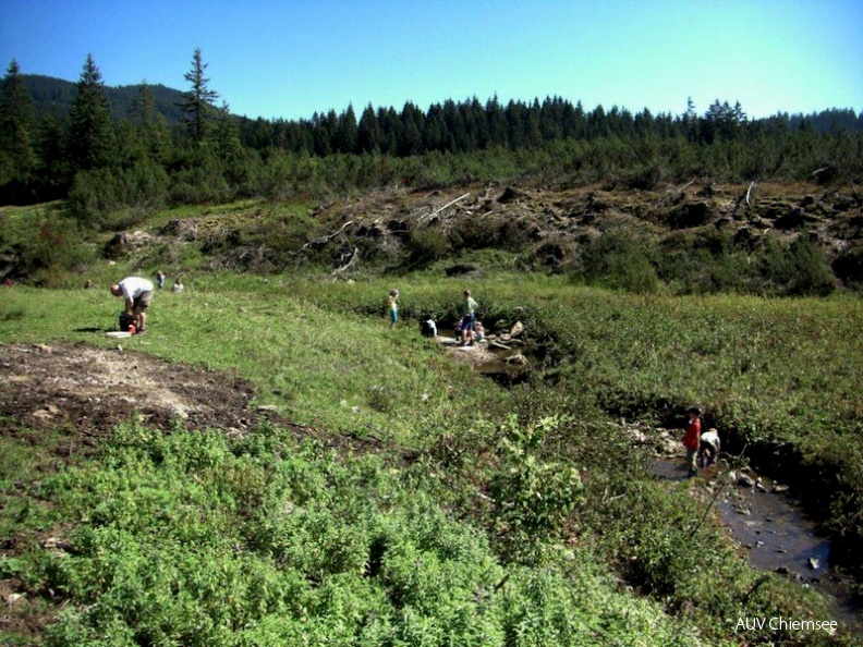 <br />
Tour im Rahmen des 3. 'Chiemgauer Almumtriebes' auf der Winklmoos-Alm bei Reit im Winkl am 9. September 2012<br />
Foto: Stefan Schorreels, Chiemsee-Naturführer dnads-GewLup-120909-Schorreels-025.jpg
