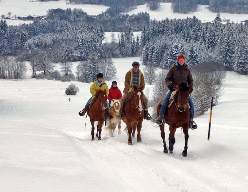 Winterlicher Reiterausflug  ...