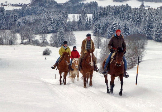 Winterlicher Reiterausflug  ...