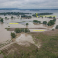 Lachsgang / Feldwieser Bucht