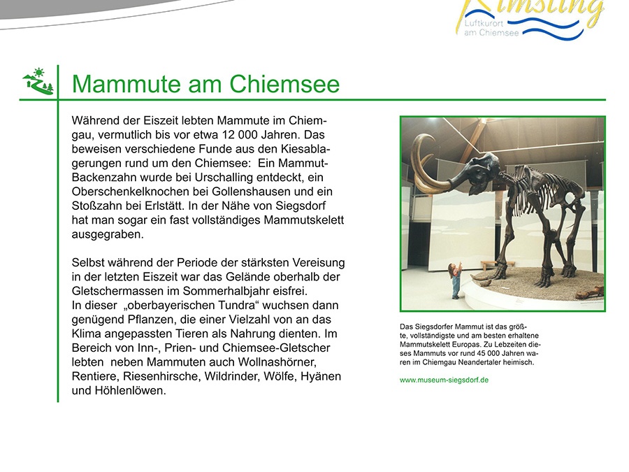 Info-Tafel 2: Mammut