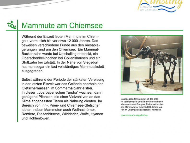 Info-Tafel 2: Mammut