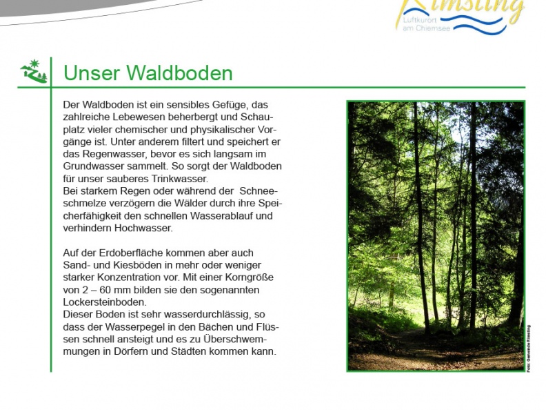 Info-Tafel 4: Unser Waldboden