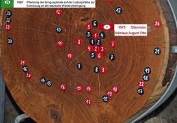 Baumscheibe mit Jahresmarkierungen