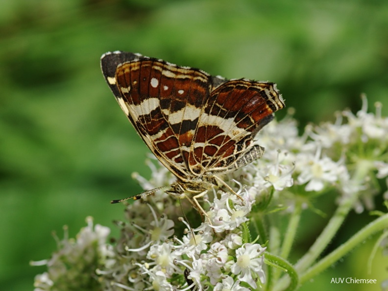 AktNatBeo-130728-jz-Landkaertchen_JZI_2044.jpg