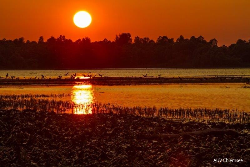 Sonnenuntergang in der Hirschauer Bucht