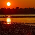 Sonnenuntergang in der Hirschauer Bucht