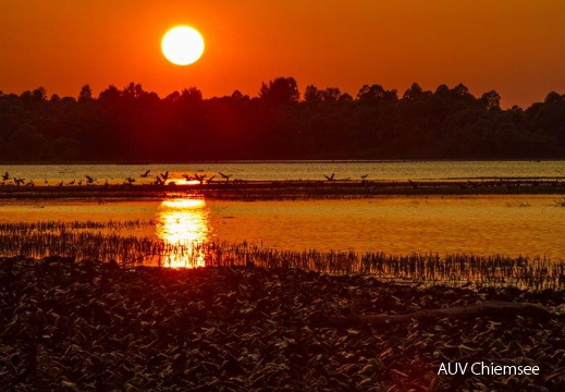 Sonnenuntergang in der Hirschauer Bucht
