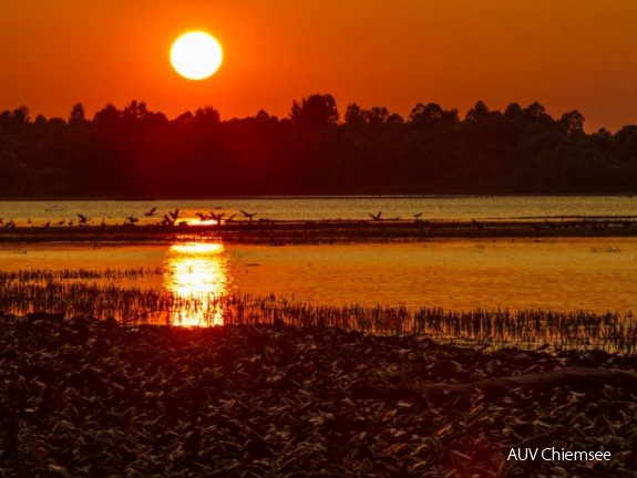 Sonnenuntergang in der Hirschauer Bucht