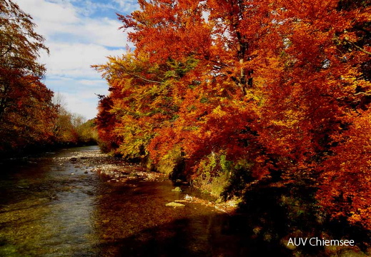 goldener Herbst am Gewässer