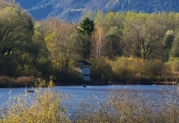 Beobachtungsturm Hirschauer Bucht