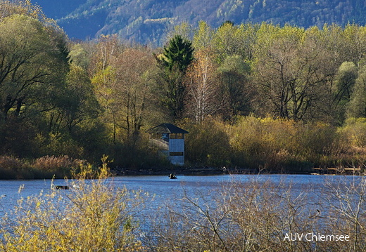 Beobachtungsturm Hirschauer Bucht