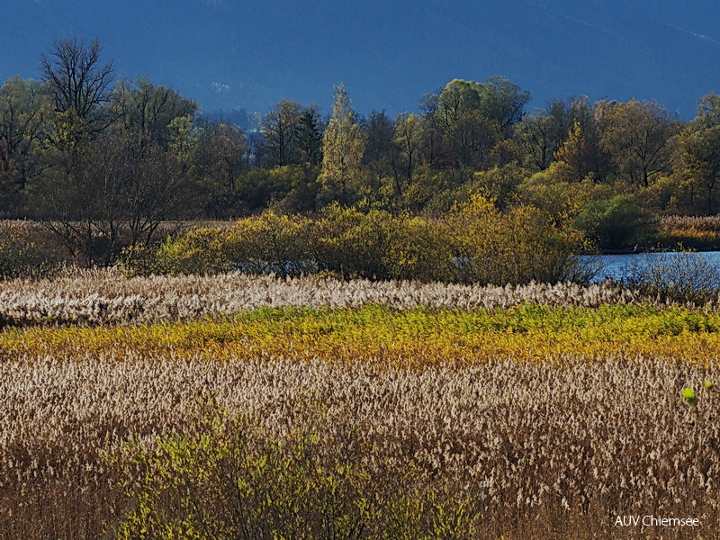 Herbst in der Hirschauer Bucht