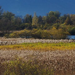 Herbst in der Hirschauer Bucht