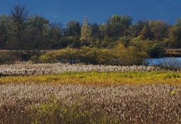 Herbst in der Hirschauer Bucht