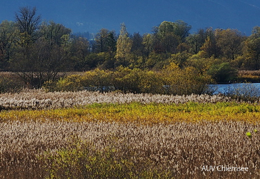 Herbst in der Hirschauer Bucht