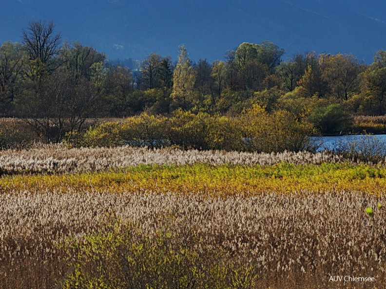 Herbst in der Hirschauer Bucht