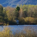 Naturbeobachtungsturm Hirschauer Bucht