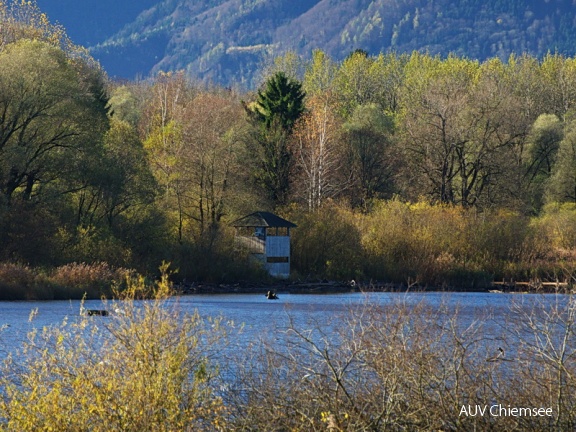 Naturbeobachtungsturm Hirschauer Bucht