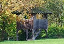 Aussichtsturm Hagenau