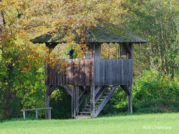 Aussichtsturm Hagenau