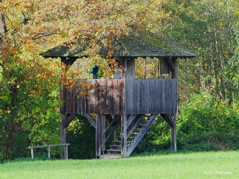 Aussichtsturm Hagenau
Mit einem Klick! zur Fotogeschichte mit weiteren Bildern
Naturbeobachtungsturm Hagenau / 16. November 2013 / Foto: Johann Zimmermann
AktNatBeo-131116-jz-TurmHagenau_JZI_3177.jpg