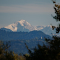 Ausblick vom Turm Lachsgang