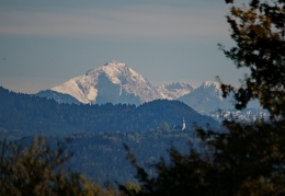 Ausblick vom Turm Lachsgang