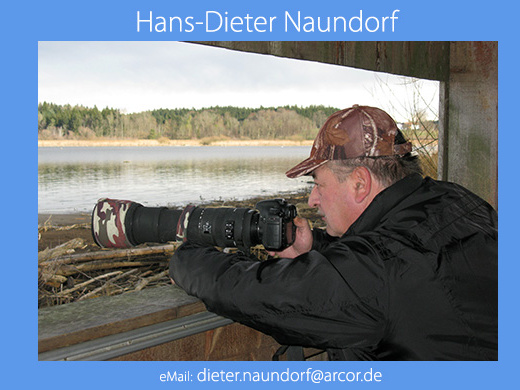 Hans-Dieter Naundorf