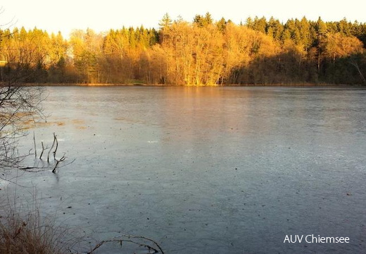 Stettener See