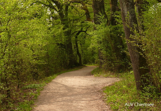 In der Feldwieser Bucht  ...