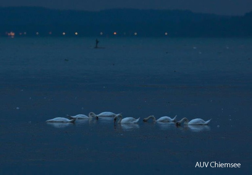 Hirschauer Bucht bei Nacht