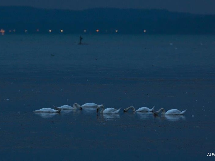 Hirschauer Bucht bei Nacht