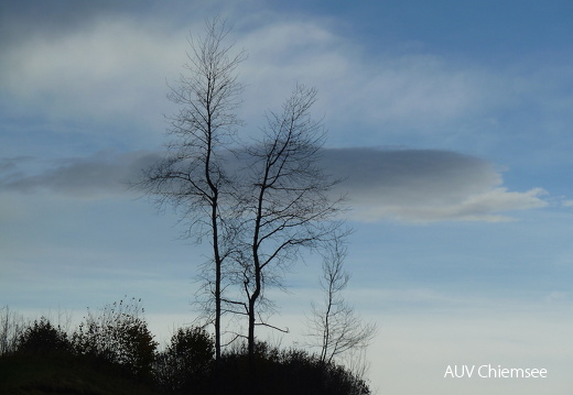 Herbststimmungen