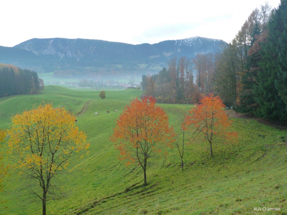 Herbststimmungen