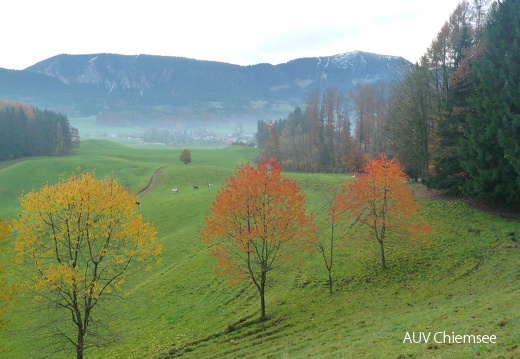 Herbststimmungen